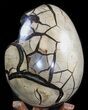 Septarian Dragon Egg Geode - lbs #40935-1